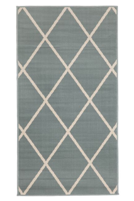 Outdoor Aqua Green Rug